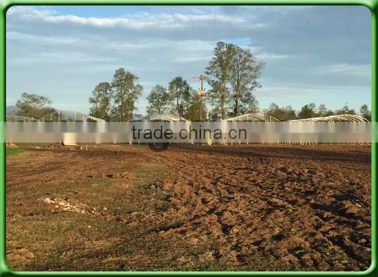 used sale fiberglass Insect Net for Greenhouse