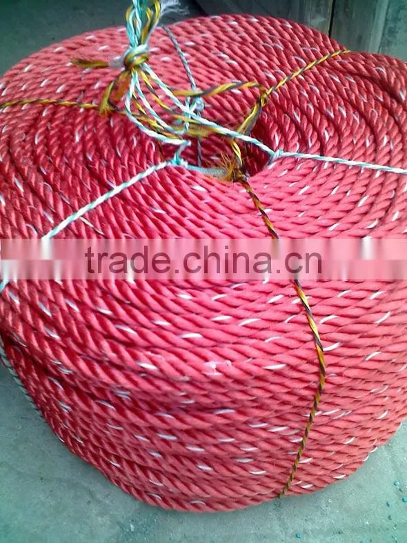 polyester rope/polyester cord