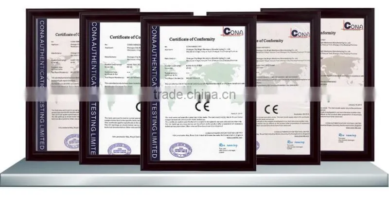 Wholesale market larger flow flux electric pressure test pump hot selling products in china