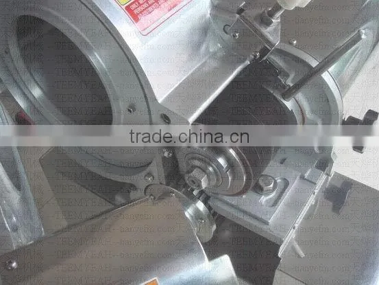 TD-800 Stainless Steel Vegetable Washing Machine(Video)