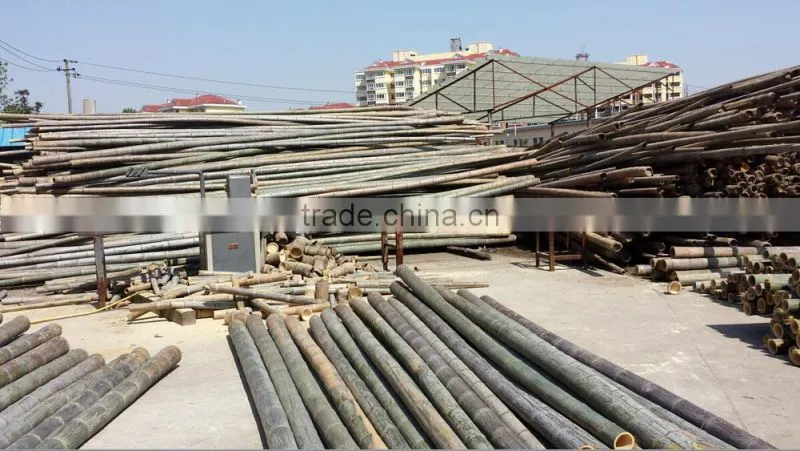 Traditional craft natural bamboo ladder prices