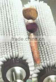 Potato Washing Peeling Prodcution Line Processing Line