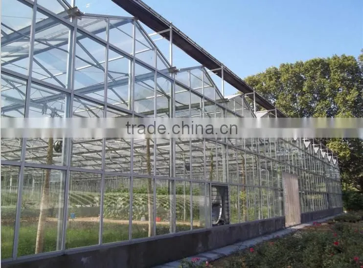 plastic translucent pc sheet vegetable tunnel greenhouse