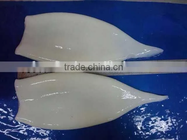 Cleaned Frozen Illex Argentina Squid Tube U5 U7 U10