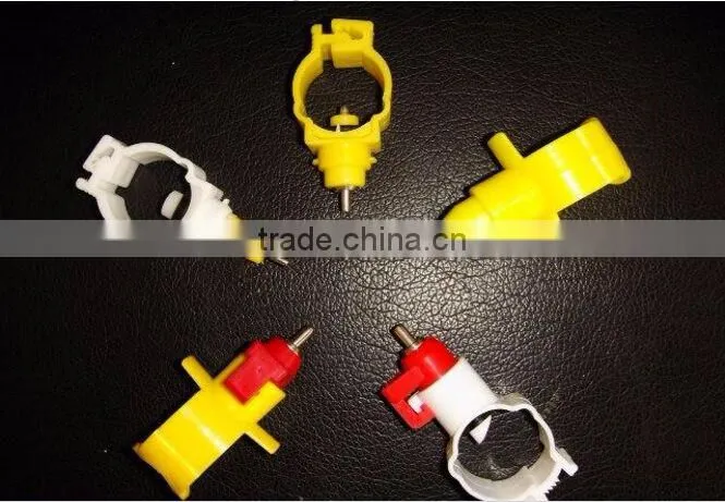 Automatic Poultry Layer Farming Equipment And Poultry Farm Raw Materials