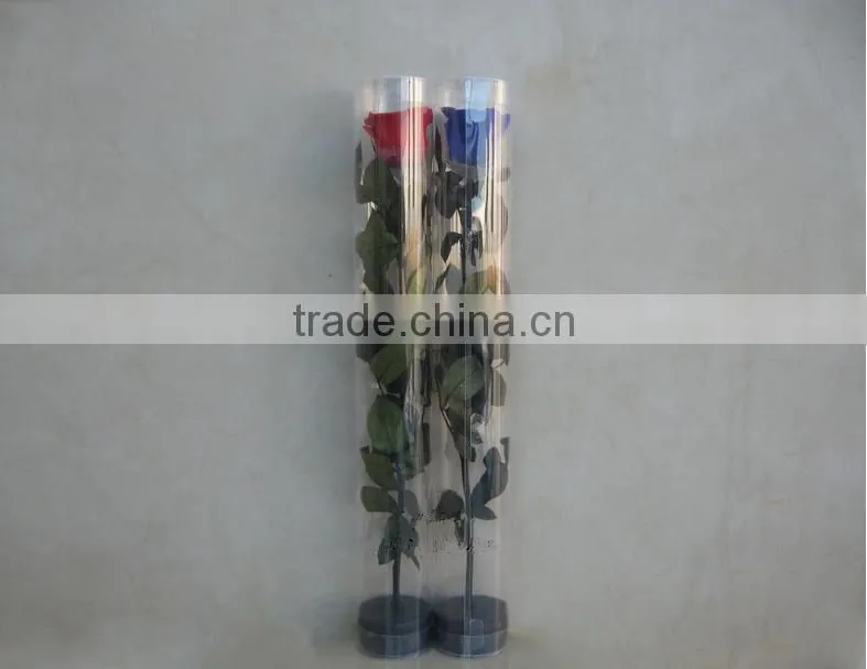 Preserved Fresh Flowers Gifts Handmade Wedding Decoration
