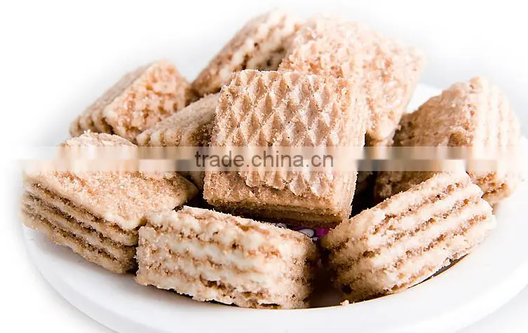 Automatic Biscuit and Cookie Crusher|Cookie Crumb Crushing and Grinding Machine