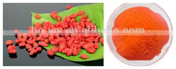 china belt vacuum powder continuous dryer for sugar