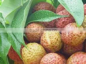High efficient fruit and vegetable sorting machine
