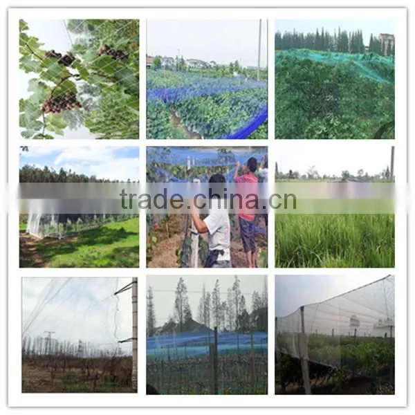 100% HDPE anti-bird nettings