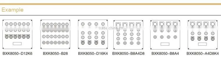 Explosion proof Corrosion proof Control Box
