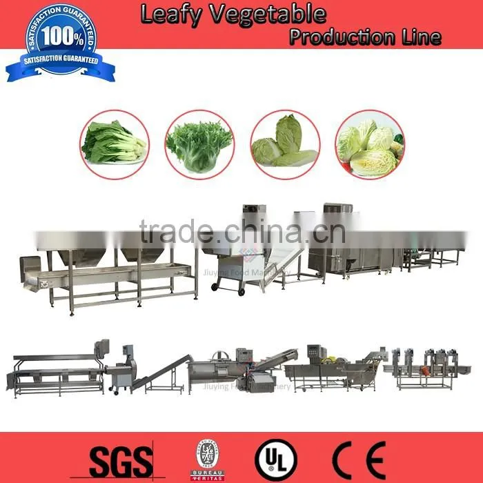 Factory Directly Supply Fruit & Vegetable Cutting Machinery