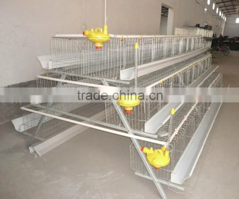 Cheap cage for growing broiler / broiler battery cage / broiler cage