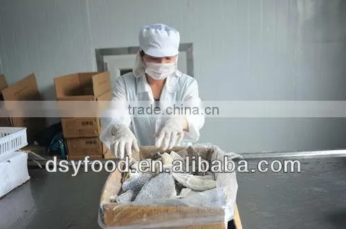 high quality frozen tongue sole fish