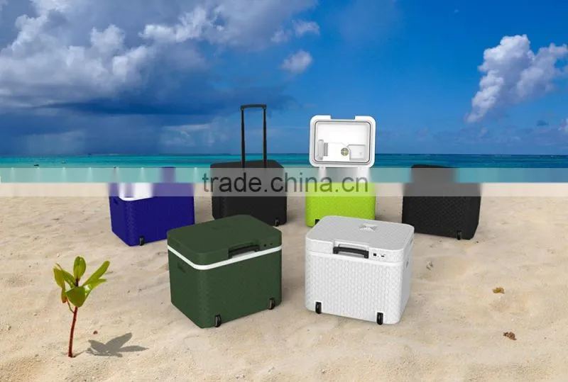 with wheels Thermoelectric cooler warmer hot cold mini fridge
