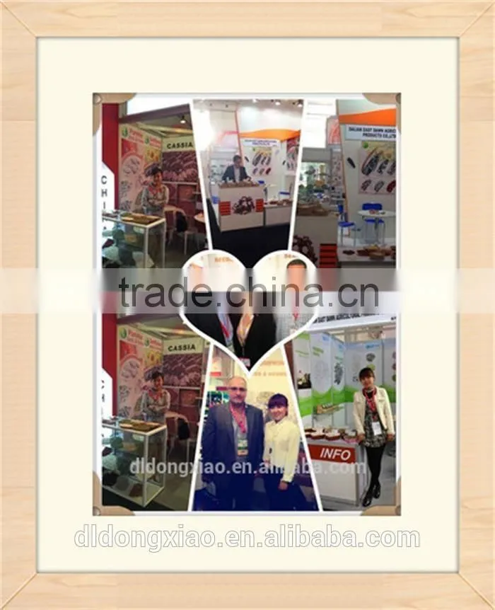 China, Hot Sale Raw Sunflower Seeds,2014