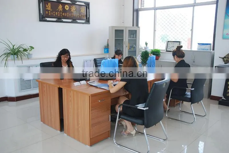 Dongguang Zhongtaida Steel Structure Co., Ltd. company overview - view 2