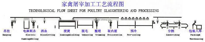 Chiken slaughter line slaughter machine