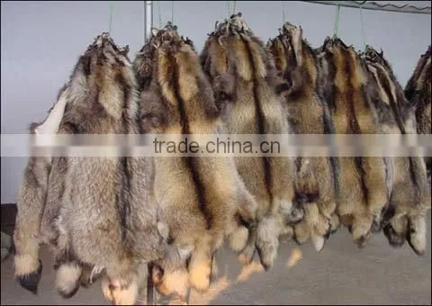 2016/2017 Real Tanning Raccoon Fur Skin