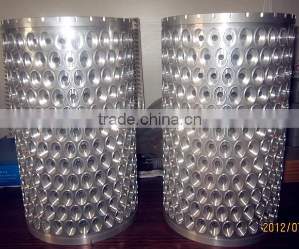Soft Capsule Mould
