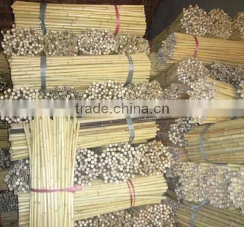 Bamboo poles and Bamboo bent pole