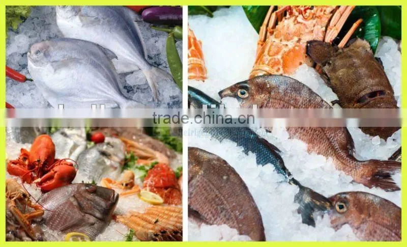 5000kg Ice Plate Maker for Seafood