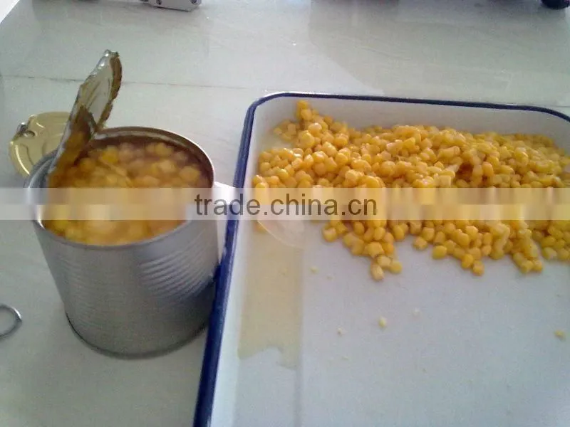 2015 New arriving baby canned corn,340g canned baby corn, canned sweet corn