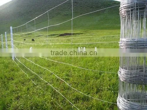 cattle horse fence manufacture of galvanized horse fence