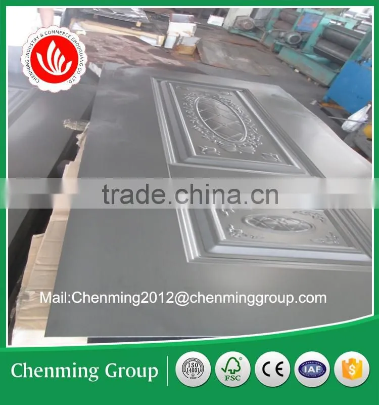 steel moulded door skin for security door
