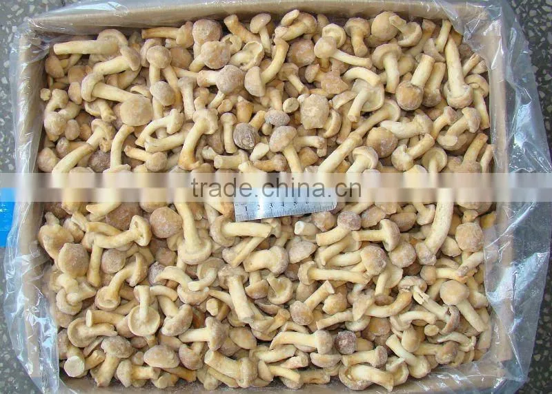 2014 Crop Frozen Nameko Mushroom(IQF)