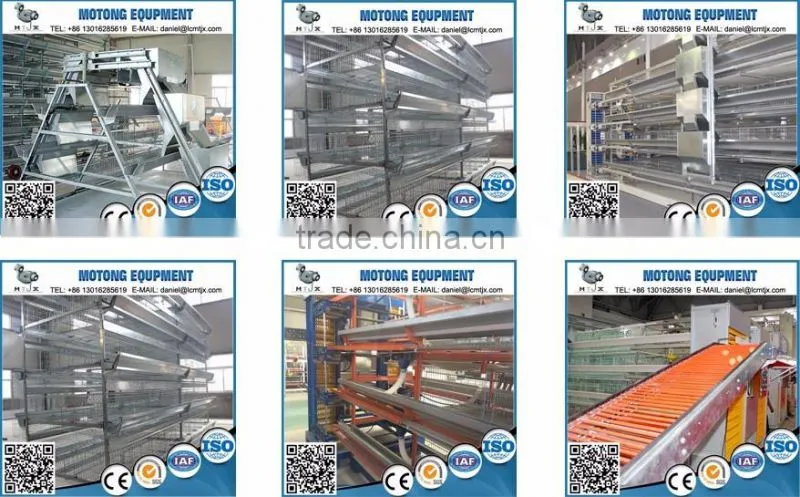 2016 factory high quality egg cartons for sale
