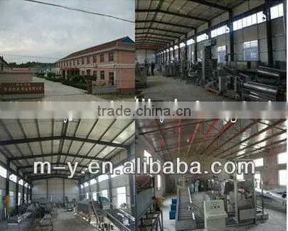 hOT SALE 600KG/HR Blanched peanut machine