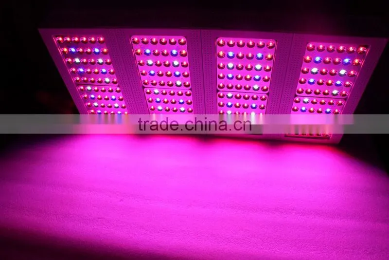 China wholesale led grow light CXB3590 led grow light with lowest price.