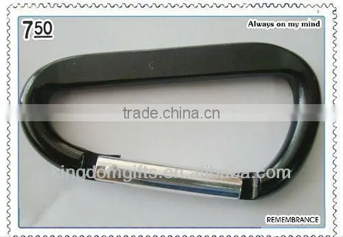 Simple Beautiful Aluminum Carabiner keychain