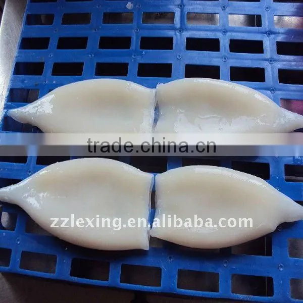 frozen squid tube u10
