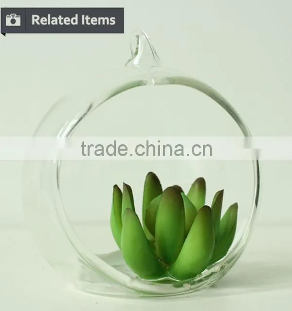New home decor succulent art craft mini terrarium succulent plant
