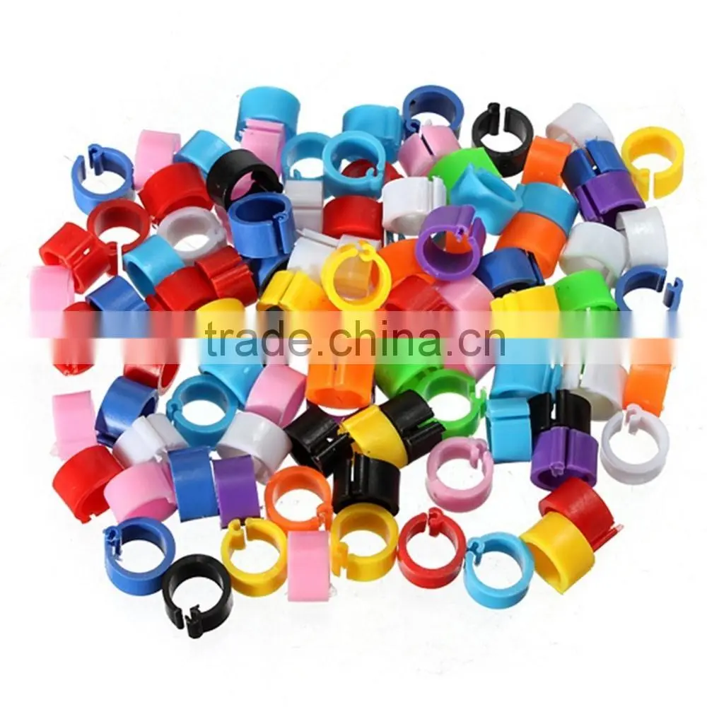 colorful Pigeon ring
