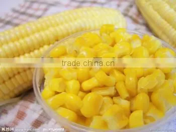 Corn Processing Machinery for Flour/Grits/Germs