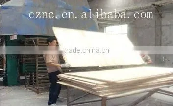 poplar plywood