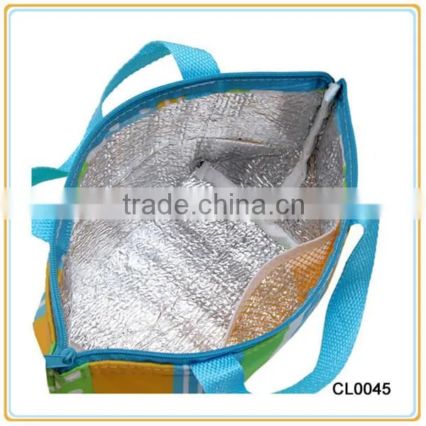 Custom High Quality Insulated and Thermal Cooler Bag with handle