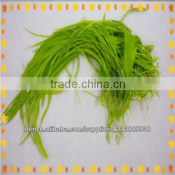 Thin Long party show colorful top sale real rooster feather hair extensions