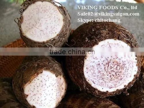 FROZEN TARO BEST PRICE - HIGH QUALITY FROM VIETNAM