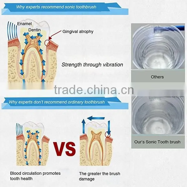 Sonic Electric Toothbrush Waterproof Whitening Prevent Tooth Decay Removes Plaque with 2 Extra Replacement Brush Heads SV030693