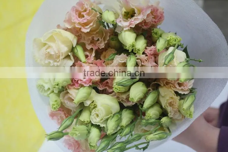 Fresh top sell wholesale fresh lisianthus flower
