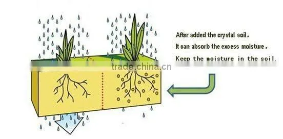 Polymer gel crystals ( super absorbent polymer ) used for agriculture