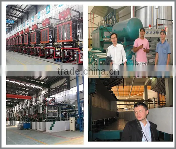 High quality automatic EPS foam recycling machine