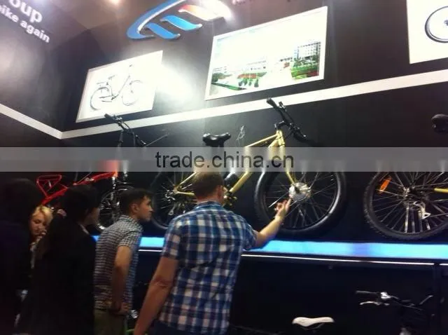Mountain bike with electric motor