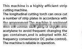 ALMACO Multi-head strip Cutting Machine