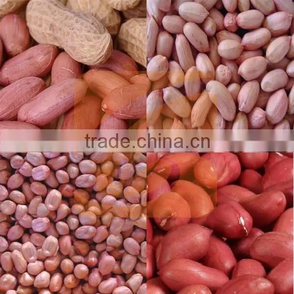 High Praised High Efficient Groundnut Shelling Sieving Processing Plant