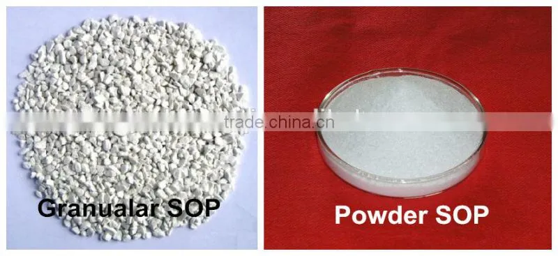 K2SO4 Powder/SOP Fertilizers for agriculture